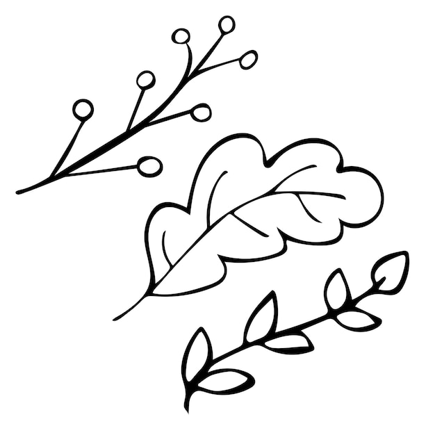 Set of 3 autumn leaves hand drawn doodle vector