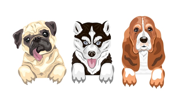 Vector set of 3 cute puppies