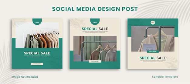 Set of 3 Editable Template Social Media Instagram Design Post with Rectangle Frame and Green Pastel