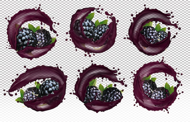 Vector set of 3d icons of six varieties of blackberry in splashes of juice drops
