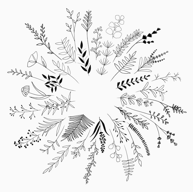 Vector set of 40 different plants flowers leaves