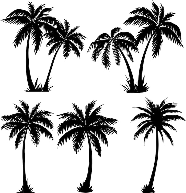 Vettore set di 5 illustrazioni dettagliate della silhouette di palma e albero di cocco in nero per il tuo design