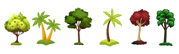 Set of 6 different trees on a white background  Vector illustration