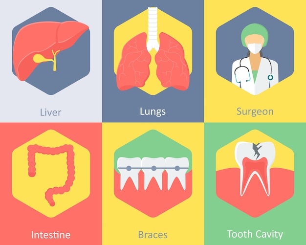 A set of 6 medical icons as liver lungs surgeon