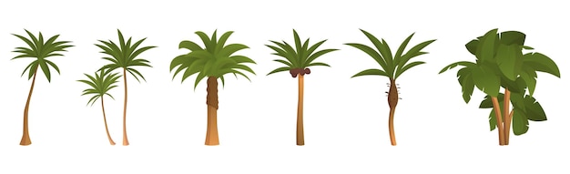 Vector set of 6 pcs palm trees on a white background - vector