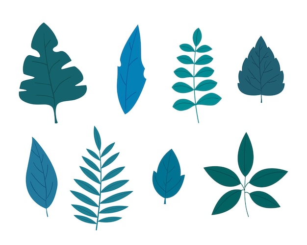 Vector set of 8 different leaves in modern colored flat style, isolated