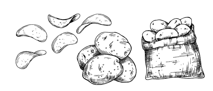 Vector set aardappelen aardappelen in een zak chips vector tekening in schets stijl vintage