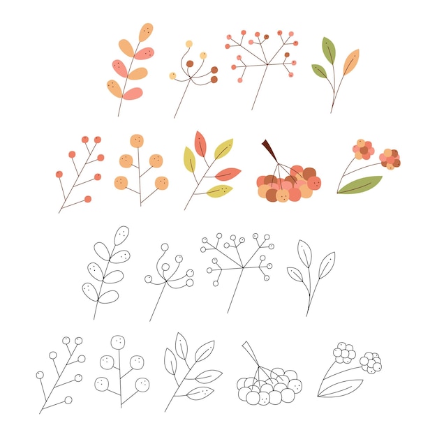 Набор абстрактных осенних листьев и ягод Черно-белая и цветная викторная иллюстрация