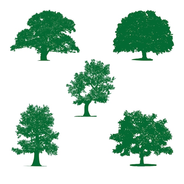 Set of abstract oak tree logo vector design illustration01