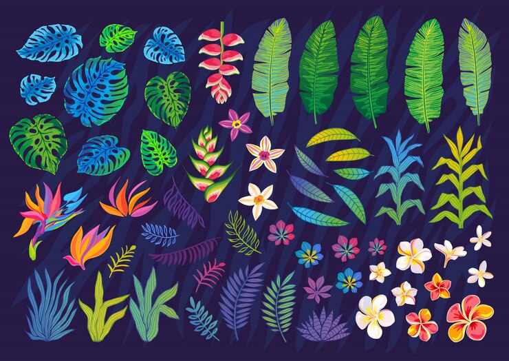 Vector 抽象的な熱帯植物、花、葉のセットです。デザイン要素。野生動物のカラフルな花のジャングル。熱帯雨林のアートの背景。図