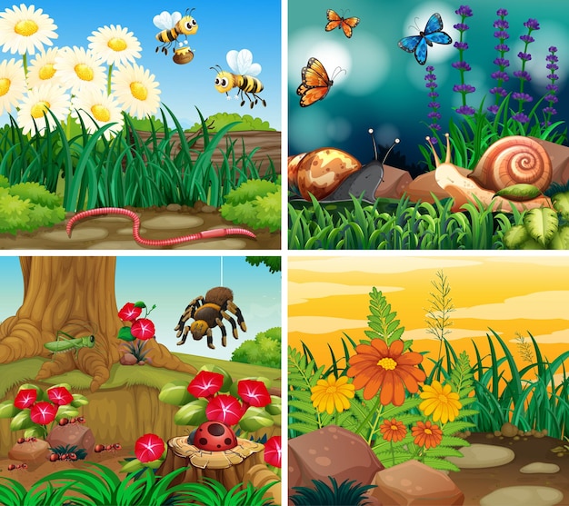 Set achtergrondscène met natuurthema