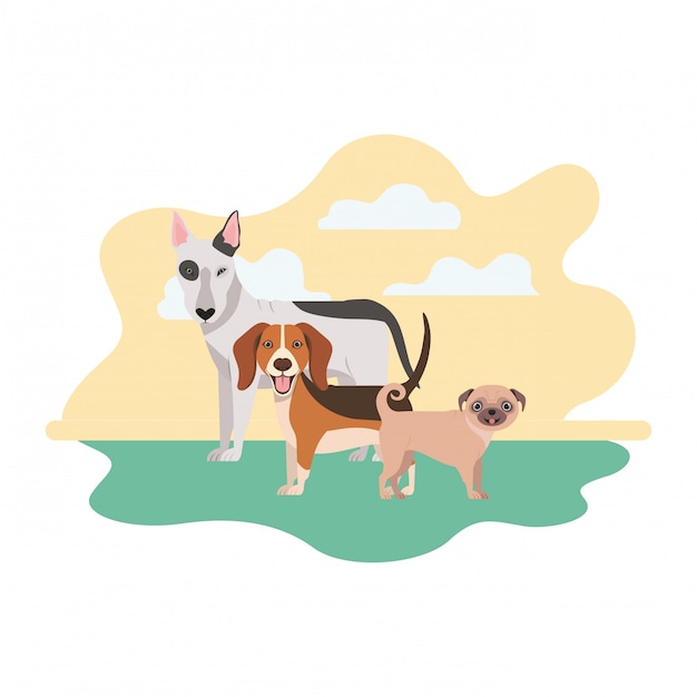 Vector set of adorable dogs on white