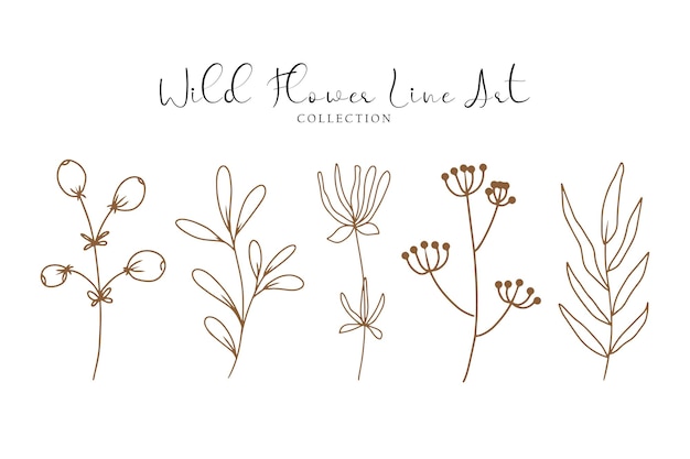 Vector a set of aesthetic cute flower and leaf line art