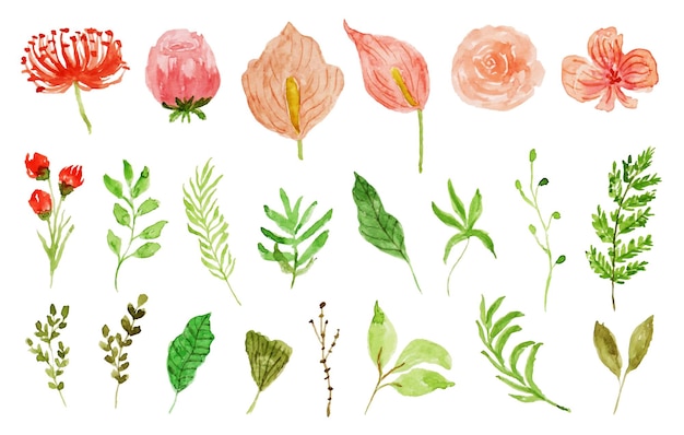 A set of aesthetic and cute flower and leaf watercolor