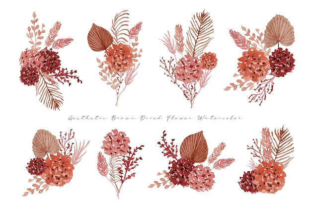 a set of aesthetic hand painted dried flower arrangement watercolor