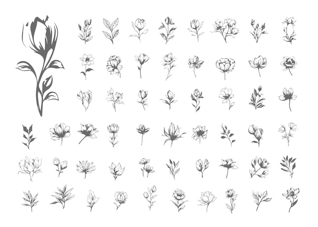 Premium Vector | Set of aesthetic line art flowers and leaves