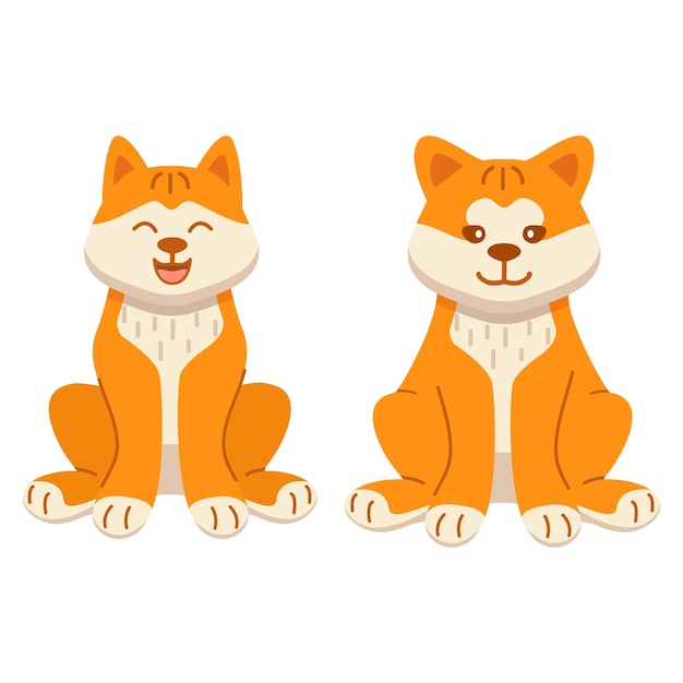 Set akita Inu smiling is a breed of dog sit Cute pet animal