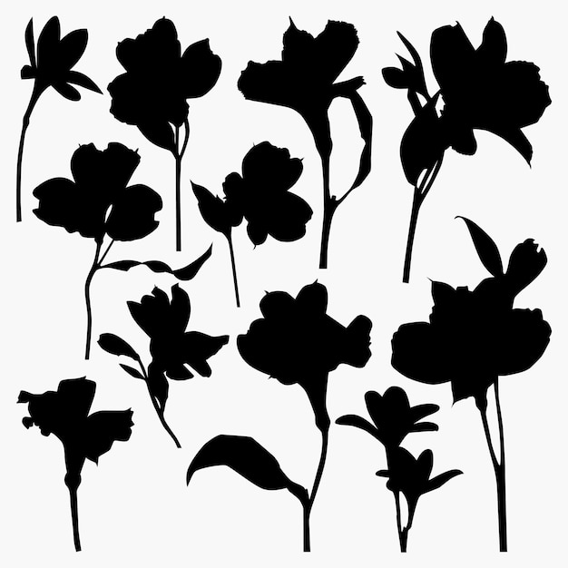 Set of Alstroemeria Flower Silhouettes