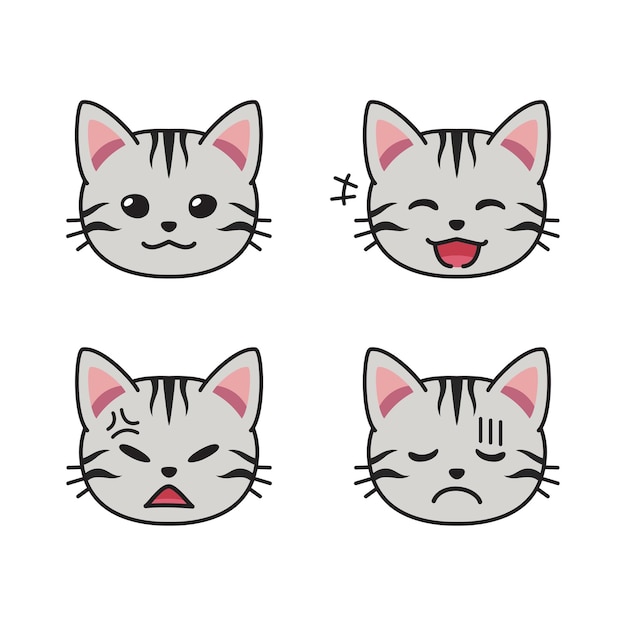 Set of american shorthair cat faces showing different emotions for design.