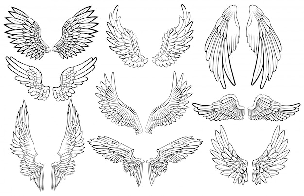 Vector set of angel wings. wings collection with feathers. black white   illustration.