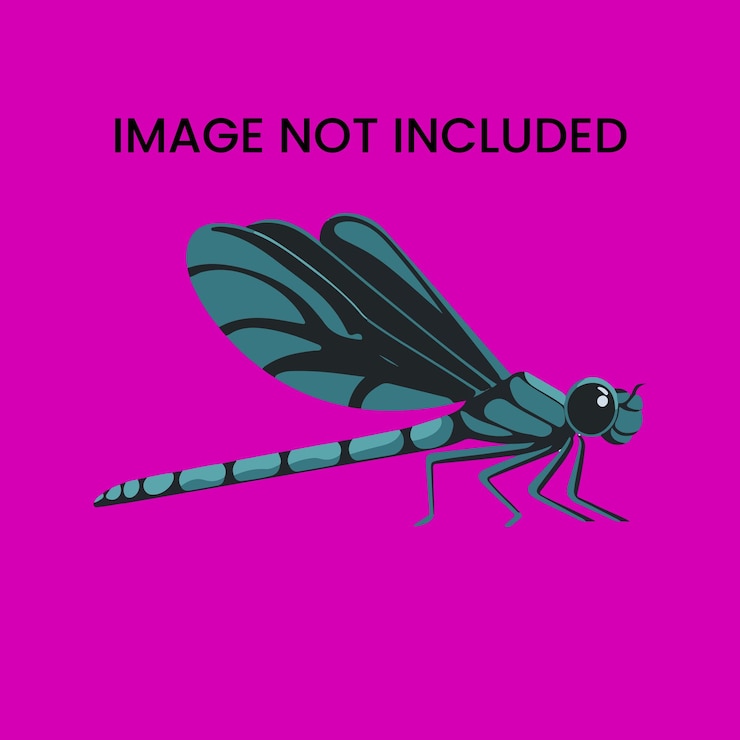 Vector set of animal cartoon character