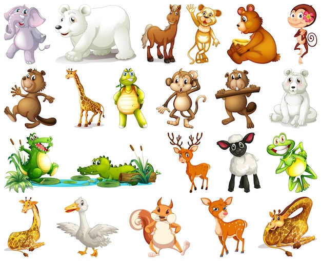 Set of animal cartoon character