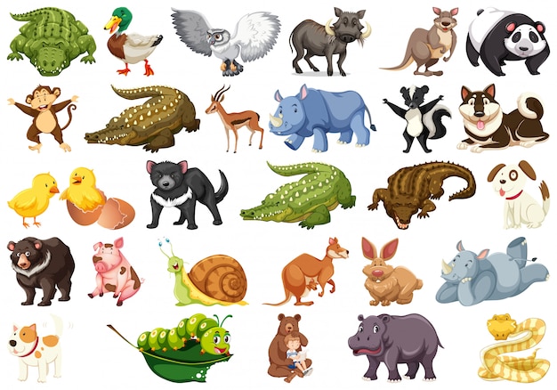 Vector set of animal character