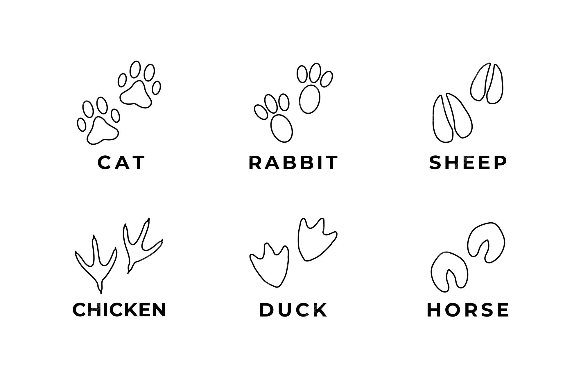 50 premium vector icons of Cats designed by Freepik