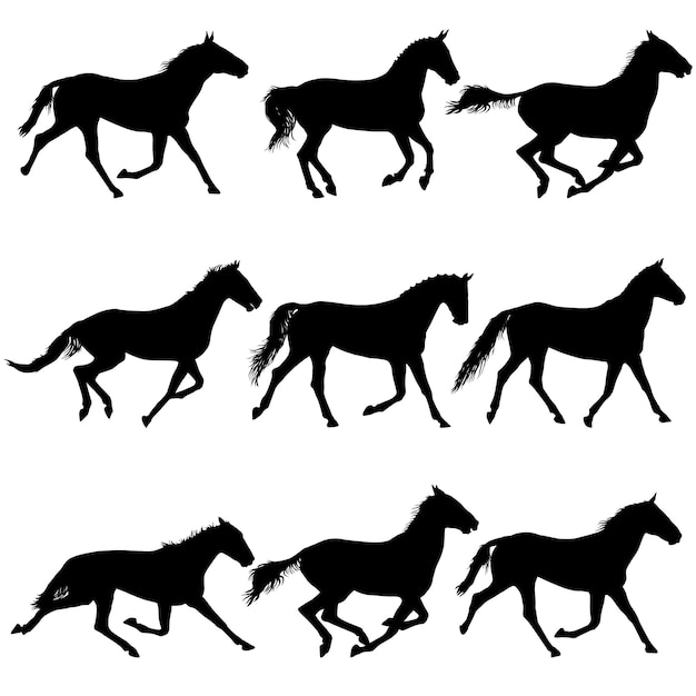 Vector set animal silhouette of black mustang horse illustration