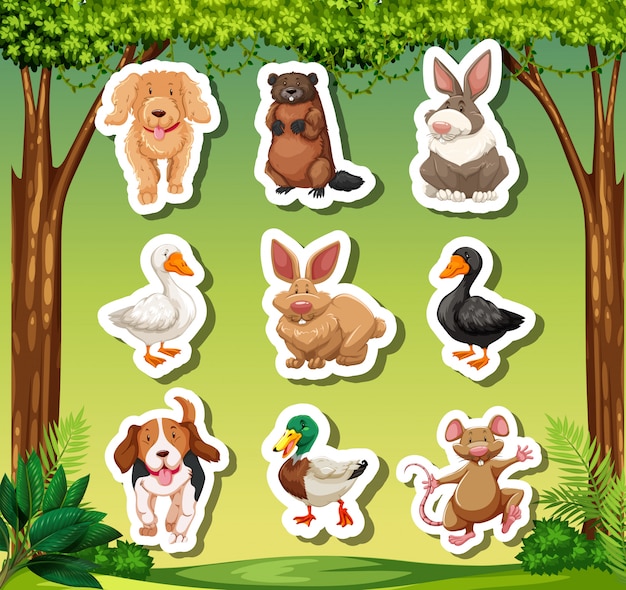 Set of animal sticker