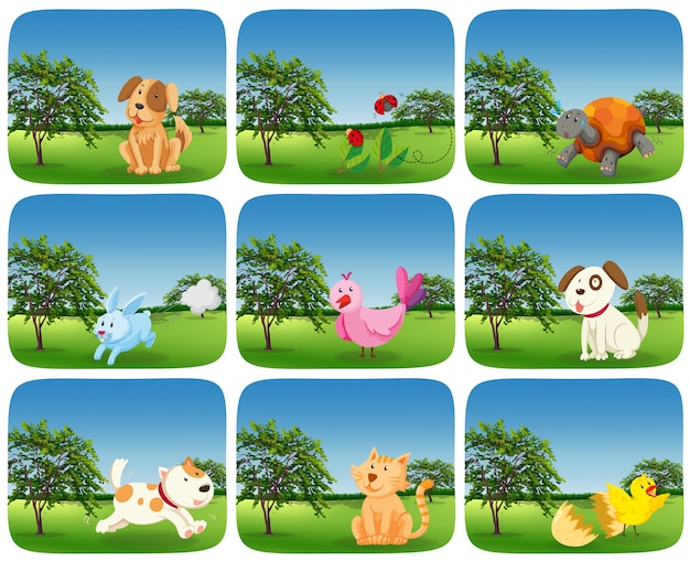 Set of animals in outdoor scene