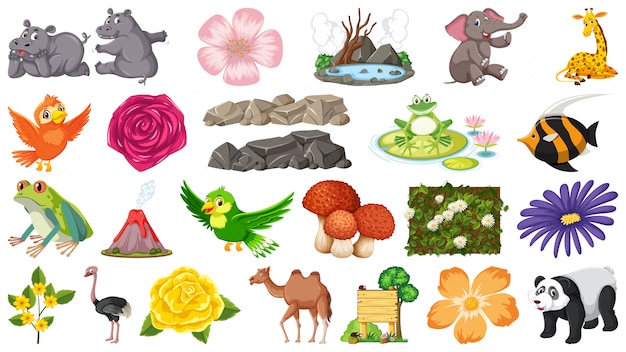 Set of animals and plants