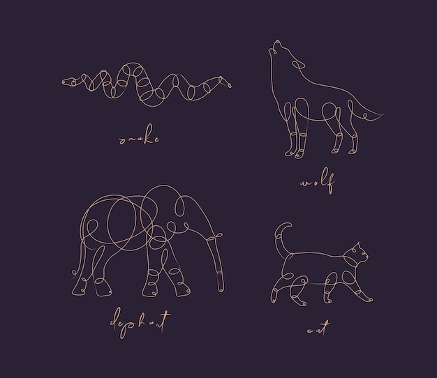 Set of animals snake wolf elephant cat drawing in pen line style on dark background