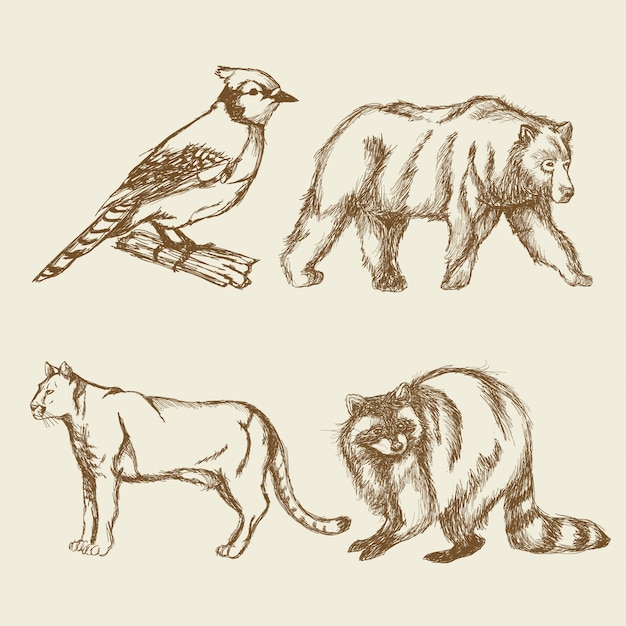 Set animals vintage doodle style