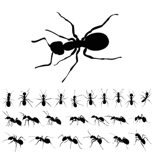 Set of ants silhouettes