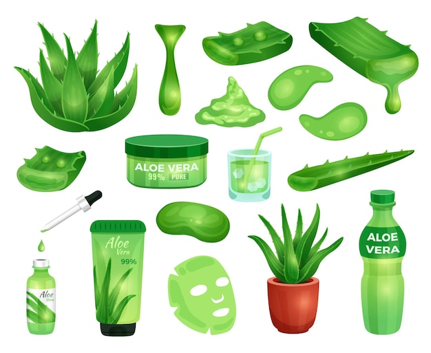 Vector set apotheek succulente aloë vera plantenbladeren en elementen voor cosmetische producten