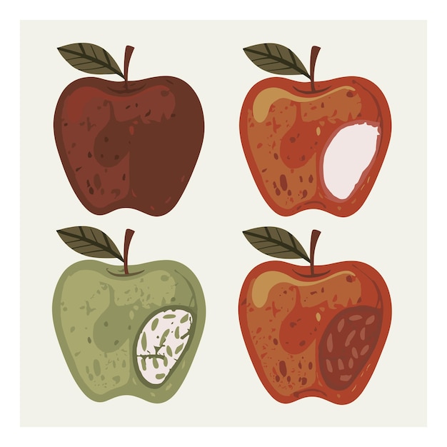 Vector set of apple fruit vector