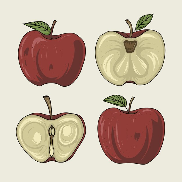 Set of apple fruit vector