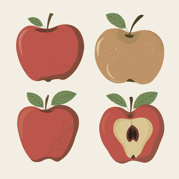 Set of apple fruit vector