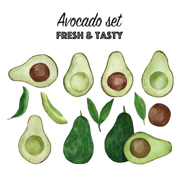 Set aquarel avocado. Hand getekend tropische illustratie.