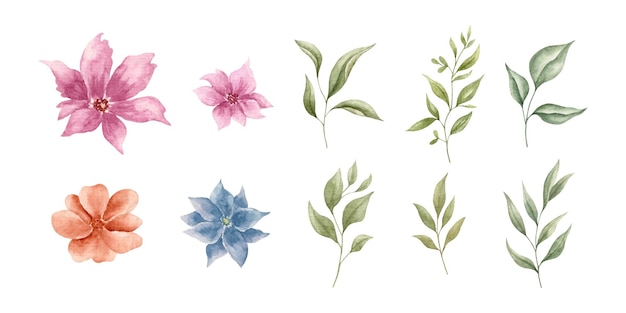 set aquarel bloemen en bladeren