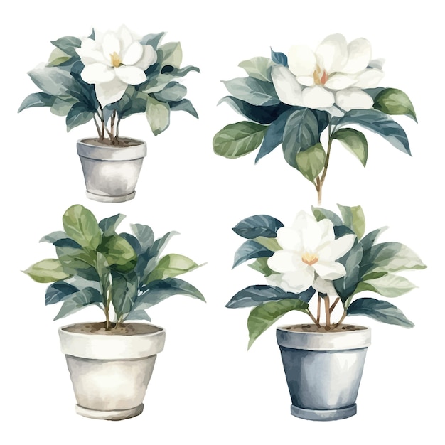 Set aquarel Gardenia bloembomen clipart in bloempot witte achtergrond