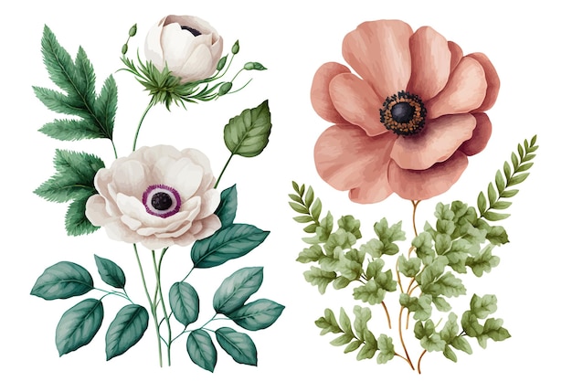 Set aquarel roze bloemen, tuinrozen, pioenrozen. collectie bladeren. Botanische illustratie