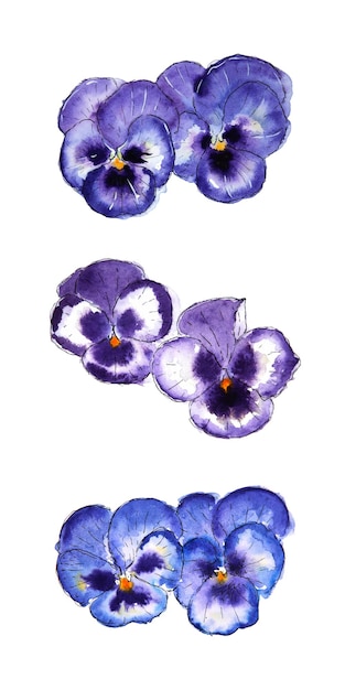 Set aquarel viooltjes