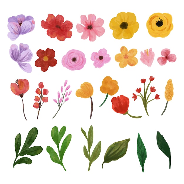 Vector set aquarel wildflower geïsoleerd op wit