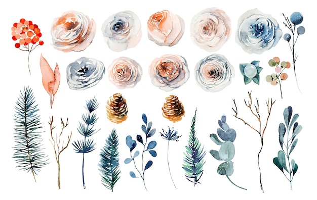 Set aquarel winterplanten, roze en witte rozen, wilde bloemen, dennentakken en eucalyptus