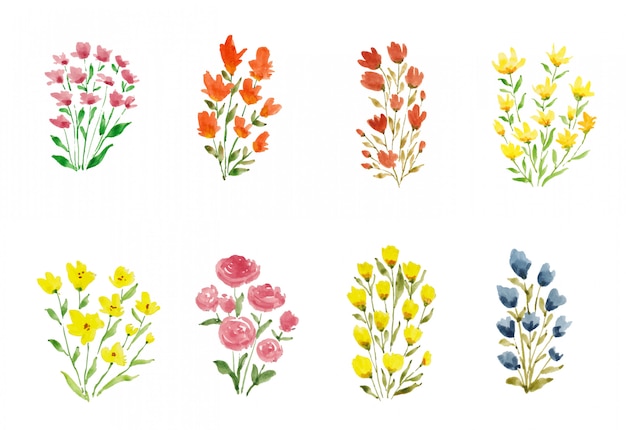 Set aquarel zomerbloemen