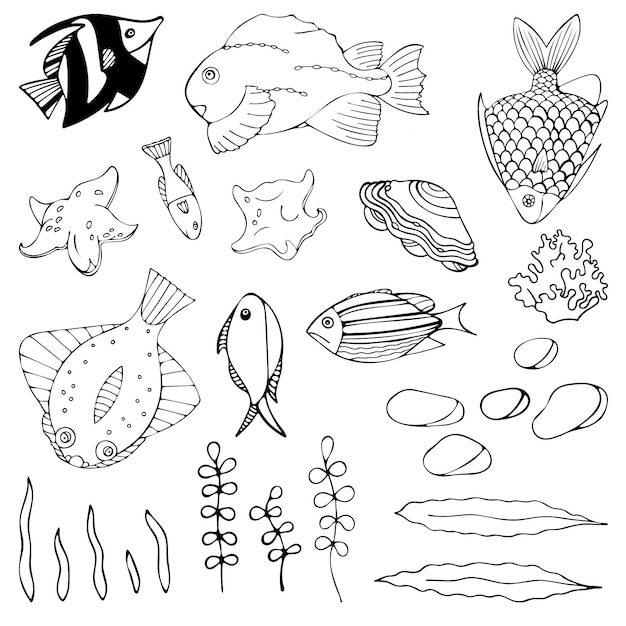 Set of aquarium cartoon fish seaweed seashell and stones Isolated objects on white background Inhabitants of the underwater world