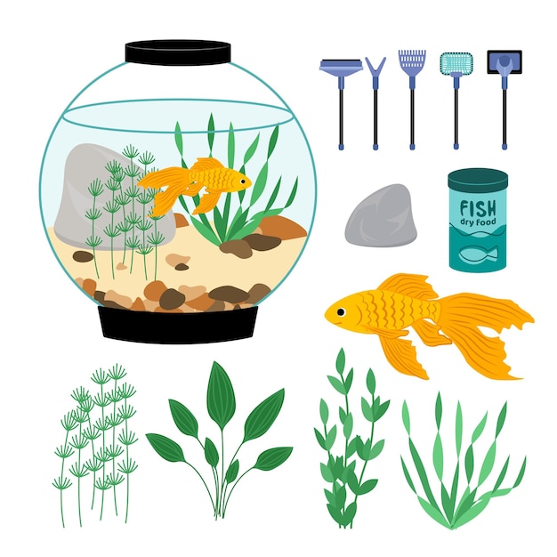 Set of a aquarium fish goldfish algae dry food cleaning tools Flat cartoon vector