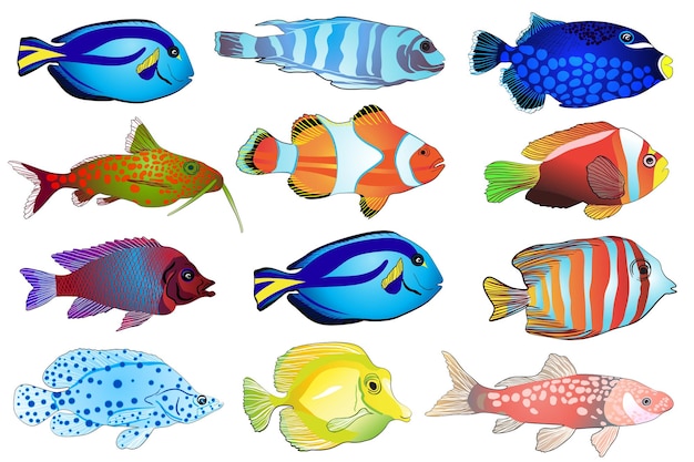 Set of aquarium fish